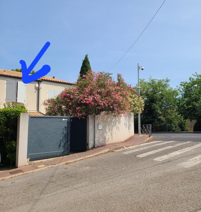 דירות מונפלייה Chez Nous Dans Notre Petit Jardin מראה חיצוני תמונה