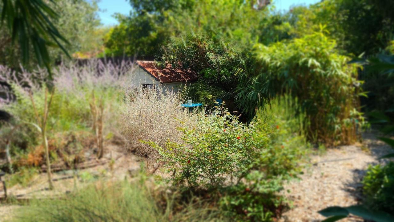 דירות מונפלייה Chez Nous Dans Notre Petit Jardin מראה חיצוני תמונה